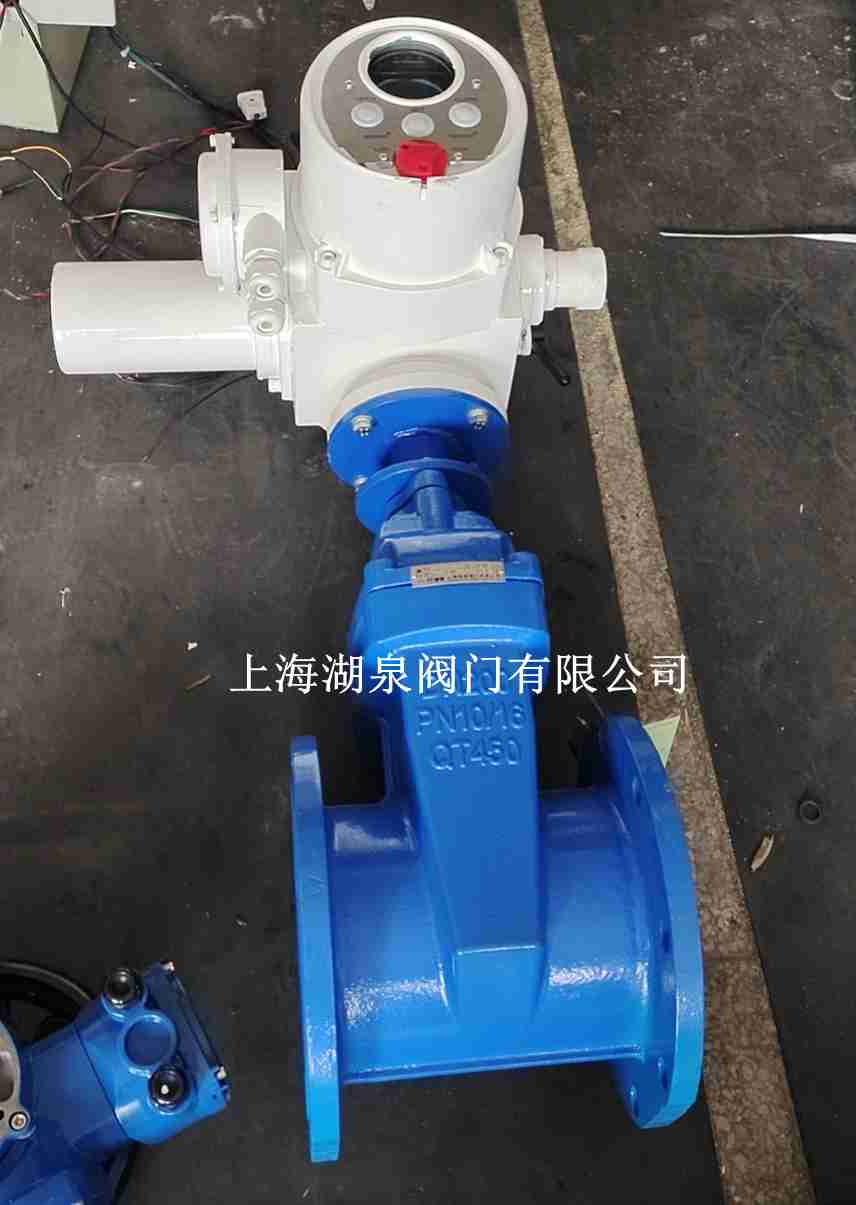 上海湖泉dn80電動閘閥價格